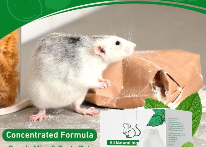 Best Pest Repellent – 24 Pack Peppermint Oil for Mice & Rodents Review