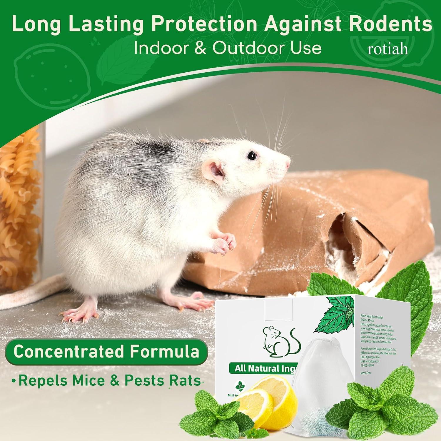 Best Pest Repellent – 24 Pack Peppermint Oil for Mice & Rodents Review